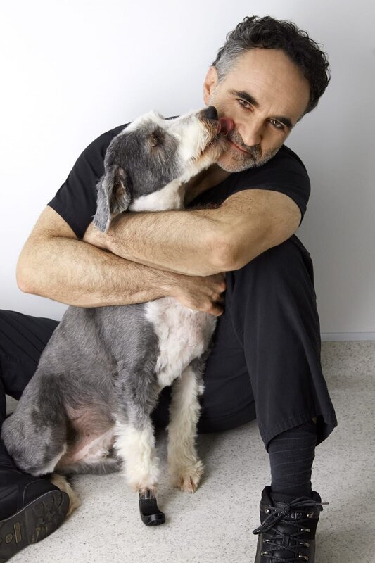 (2. Staffel) – Zusammen mit seinem Team kann Tierarzt Noel Fitzpatrick auch Tieren helfen, die woanders möglicherweise dem Tode geweiht gewesen wären&nbsp;… – Bild: Zodiak Rights