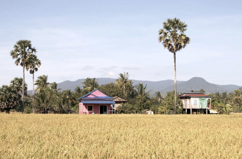 Kambodscha hat eine sehr erdverbundene und ernteorientierte Kultur. Auch heute noch ist die Landwirtschaft eine der Säulen der kambodschanischen Wirtschaft. – Bild: Elephant Doc