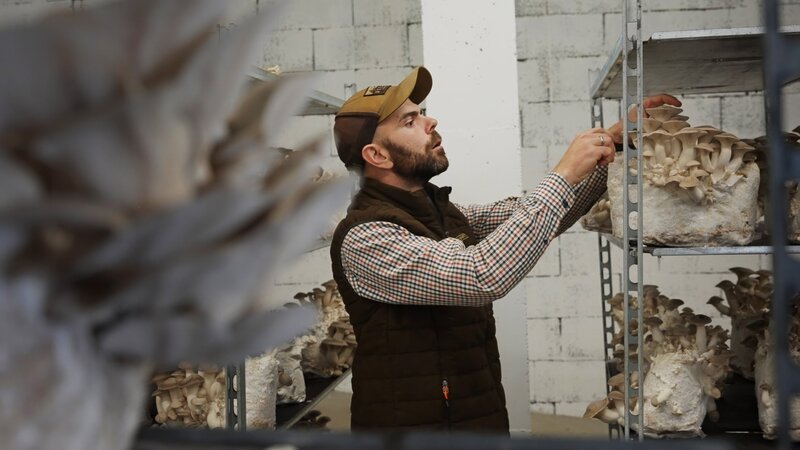 Pilze im alten Mostkeller – eine neue Generation geht erfolgreich andere Wege. – Bild: ORF/​Kotschy Film