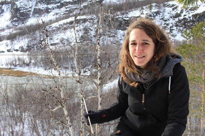 Dr. Claudia Hartl with a tree core Kafjord, Norway(National Geographic /​Tom Vaughan) – Bild: 2019 NGC Network US, LLC. All rights reserved. Lizenzbild frei