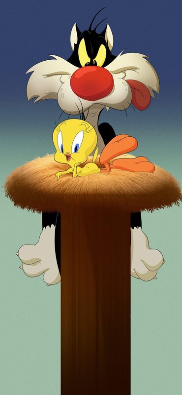 Sylvester (h.) und Tweety (v.) – Bild: Boomerang (F)