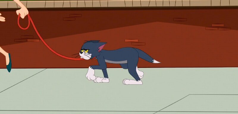 Tom – Bild: Warner Brothers