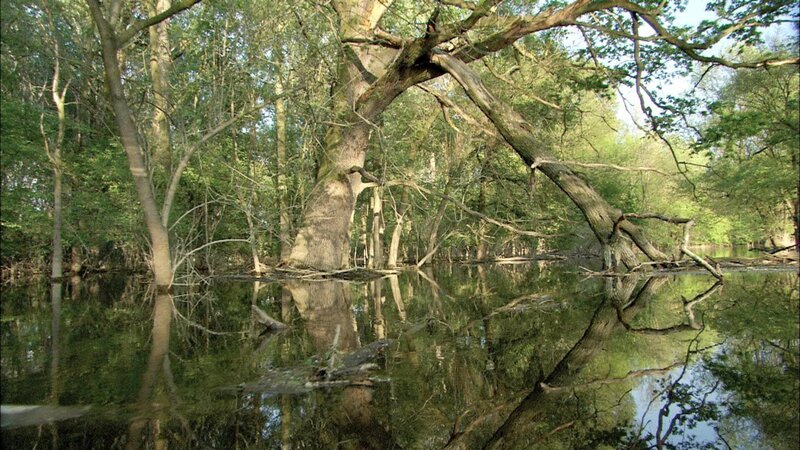 Frühlings-Hochwasser an der March. – Bild: ORF/​Interspot
