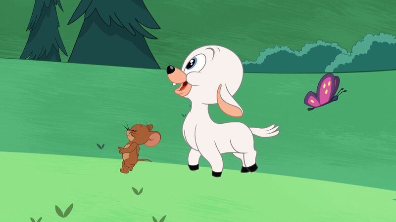 v.li: Jerry, Ewe – Bild: Warner Brothers