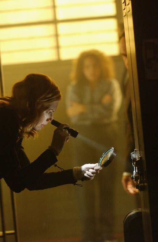 Catherine (Marg Helgenberger) nimmt das Zahlenschloss genauer unter die Lupe. – Bild: VOX