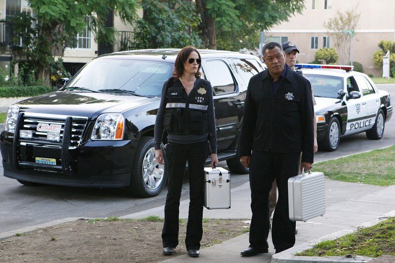 Sara (Jorja Fox) und Dr. Raymond Langston (Laurence Fishburne) untersuchen die eigenartigen Umstände eines versuchten Selbstmordes. – Bild: RTL