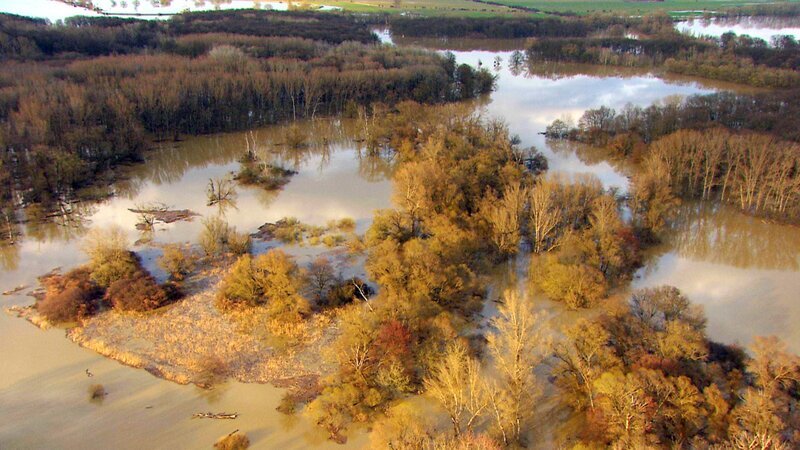 Hochwasser in der Marchlandschaft. – Bild: ZDF und ORF; Interspot