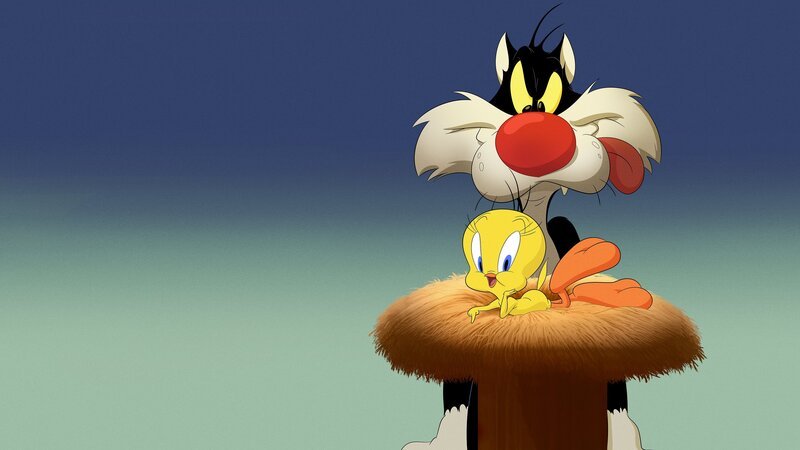 Sylvester (h.) und Tweety (v.) – Bild: Boomerang (F)