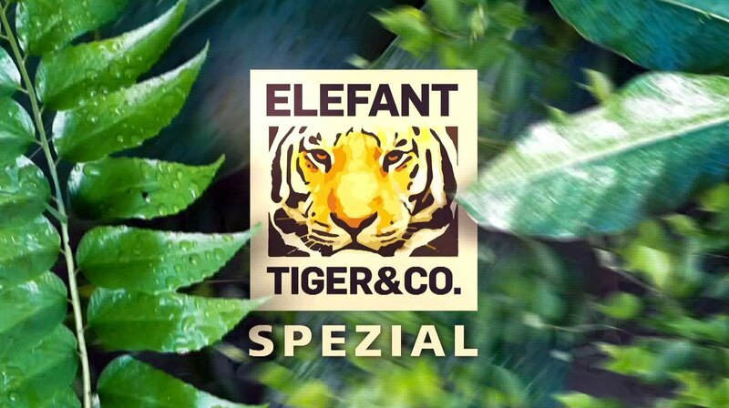 Elefant, Tiger & Co. – Spezial - Sendungslogo – Bild: MDR