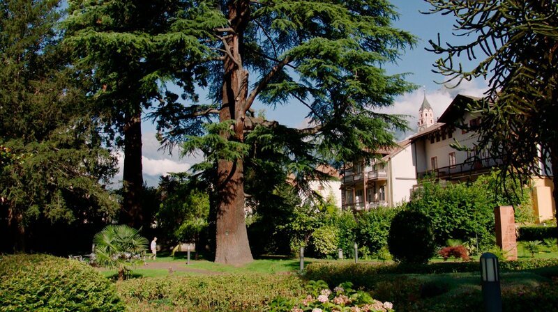 Von Kaiserin Sisi bis Speckknödel, von schneebedeckten Gipfeln zu sonnenhungrigen Palmen – in Südtirol gibt’s aus gärtnerischer Sicht so viel zu entdecken, dass ein Besuch eigentlich nicht ausreicht … – Bild: BR