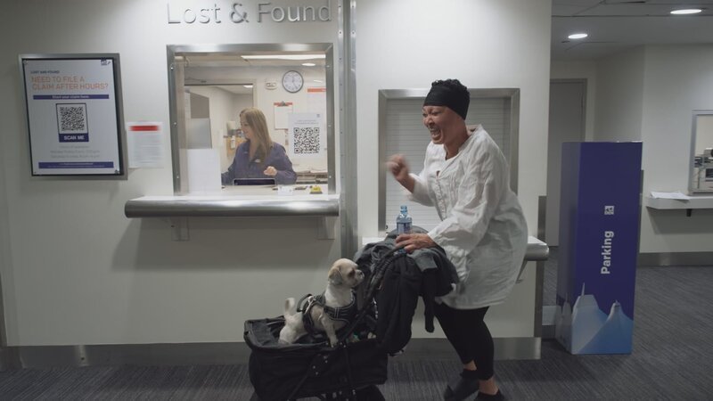 Casandra hüpft fröhlich auf und ab. – Bild: National Geographic