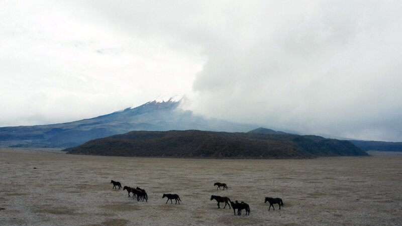 Cotopaxi Ecuador. – Bild: ORF/​ZDF/​dmfilm und tv produktion