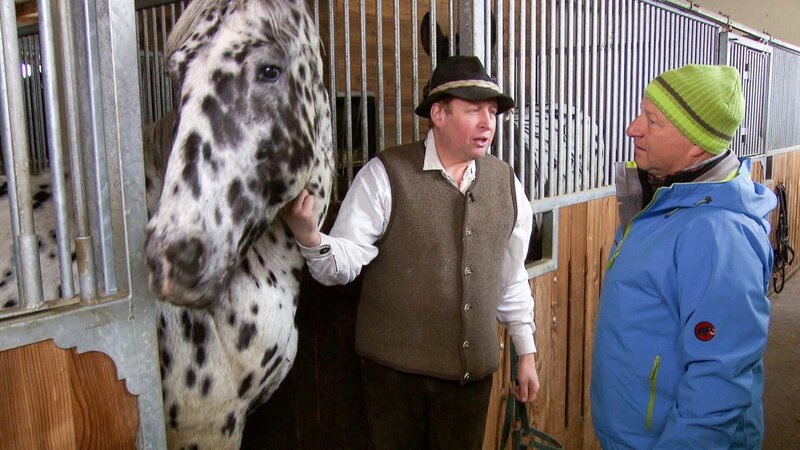 Neuhauserstubn: Andreas Seewald mit „Attila“ und Harry Prünster. – Bild: ORF III