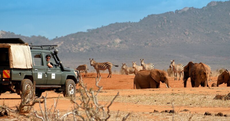 Dr. Lucy King ist Co-Direktorin der Artenschutzorganisation „Save the Elephants“, die sich um den Erhalt des Lebensraums von Afrikas Elefanten bemüht. – Bild: BBC