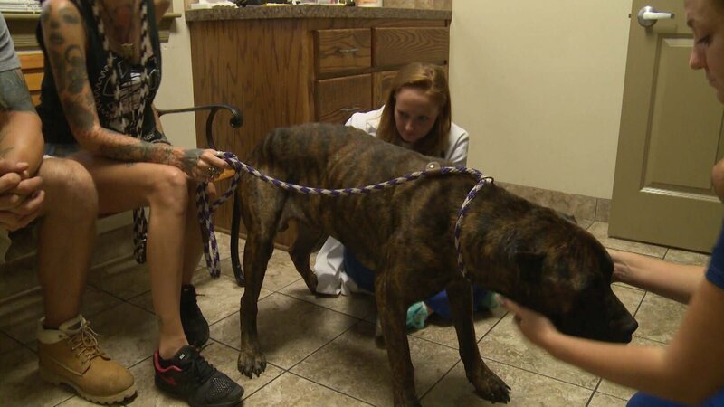 . – Bild: Warner Bros. Discovery