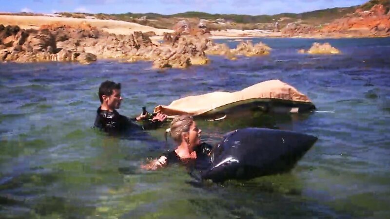 . – Bild: Warner Bros. Discovery