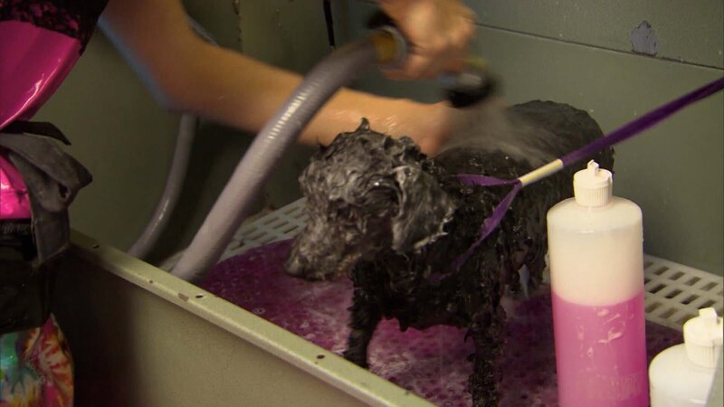 . – Bild: Warner Bros. Discovery