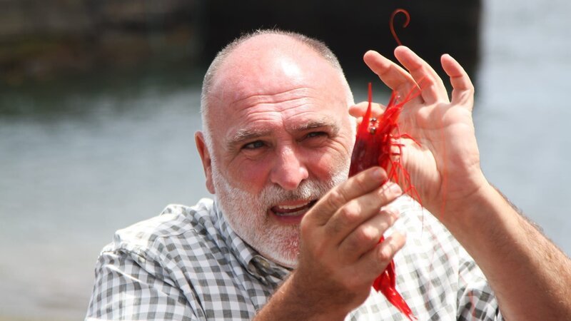 José Andrés holding a carabinero, as seen on José Andrés & Family In Spain. – Bild: Discovery, Inc. All Rights Reserved.