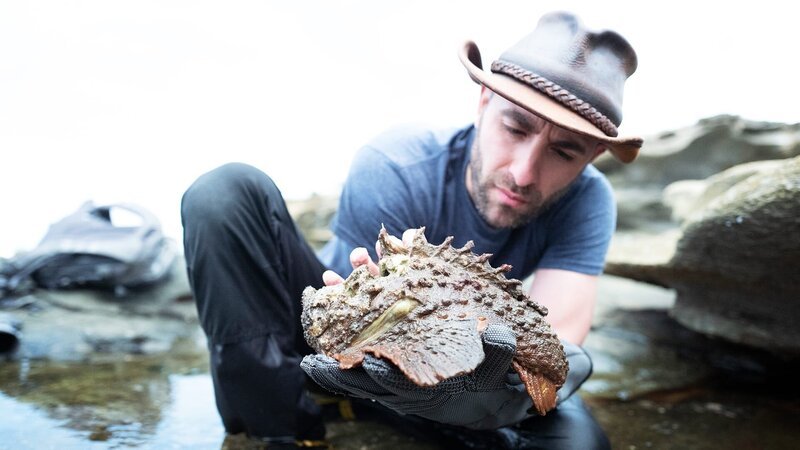 Coyote Peterson – Bild: Warner Bros. Discovery