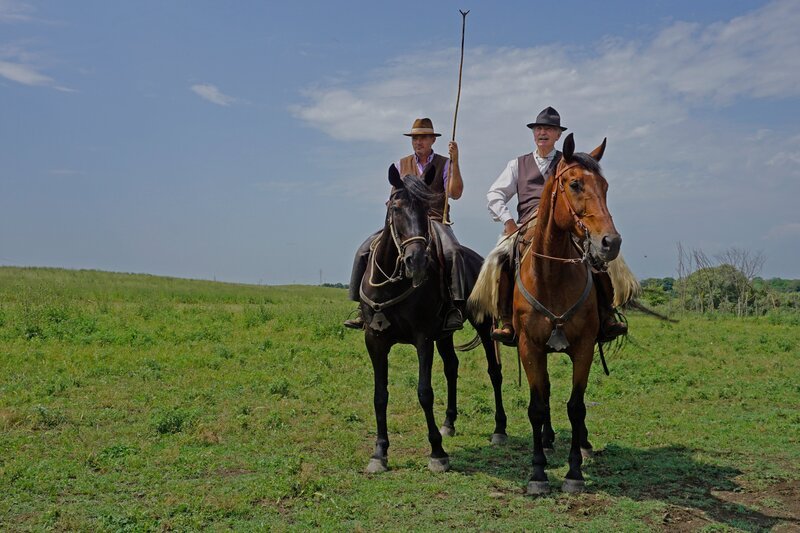 Die Cowboys der Toskana – „Butteri Di Maremma“ – Bild: MGTV