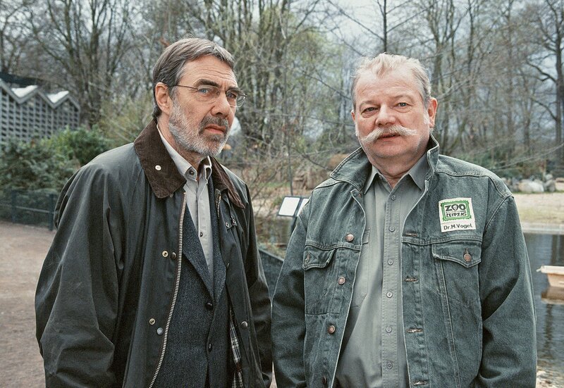Zoodirektor Prof. Baumgart (Gunter Schoß, l.) will Dr. Vogel (Dieter Montag, r.) als seinen Nachfolger vorschlagen. – Bild: MDR/​ARD/​Christa Köfer