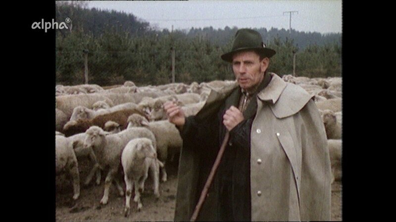 Wanderung eines Schäfers mit seiner Herde zur Sommerweide. – Bild: BR