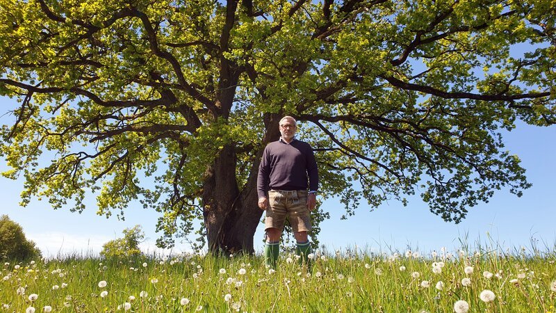 Jimmy Hartwig vor einem Baum. – Bild: BR/​Stefan Panzner