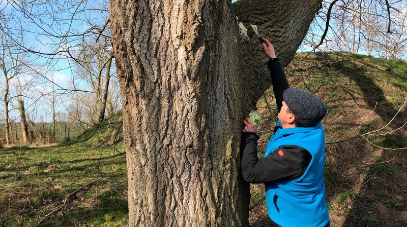 Bärenexperte Patrick Boncourt vom Tierschutzzentrum Weidefeld beim Verteilen von Honig für die Bären – Bild: NDR/​Joker Pictures
