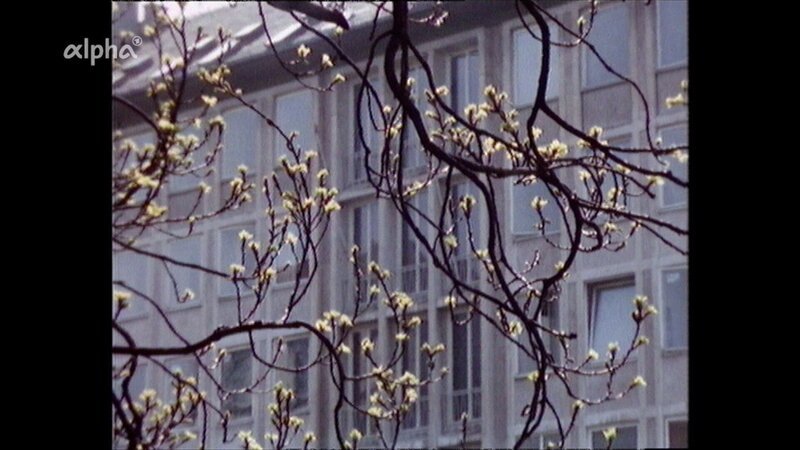 In der Stadt öffnen sich die ersten Knospen an den Bäumen. – Bild: BR