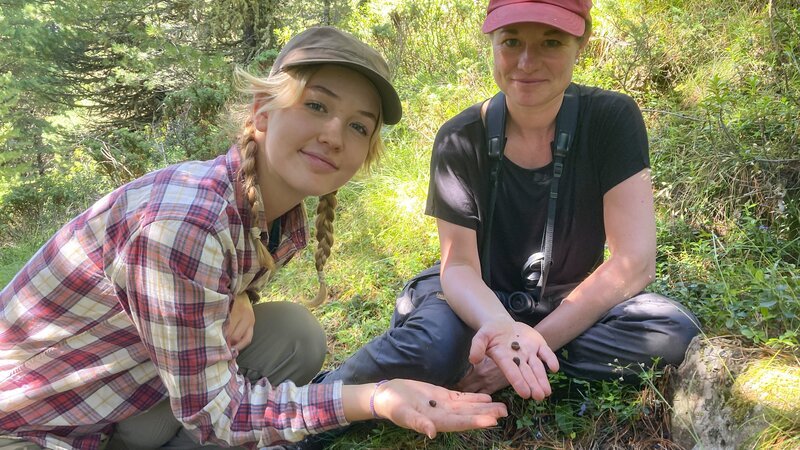 Nina (links) und Ornithologin Eike haben einen Damenversteck eines Tannenhähers gefunden. Der Vogel legt bis zu 20.000 Nahrungsverstecke an. (Dr. Eike Lena Neuschulz). – Bild: BR/​BILD+TEXT Medienproduktion GmbH & Co. KG/​Ben Wolter