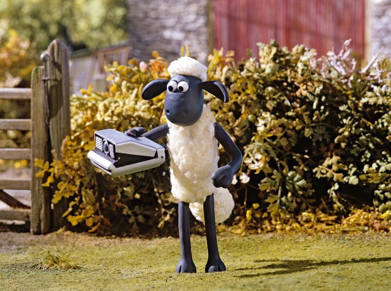 „Shaun als Fotograf“ (Episode aus ‚Schaf Shaun‘ /​ Trickfilm). In der Episode verlieren zwei Wanderer auf der Schafweide ihren Fotoapparat – zur Freude von Shaun. – Bild: WDR/​Aardman Animations Ltd.