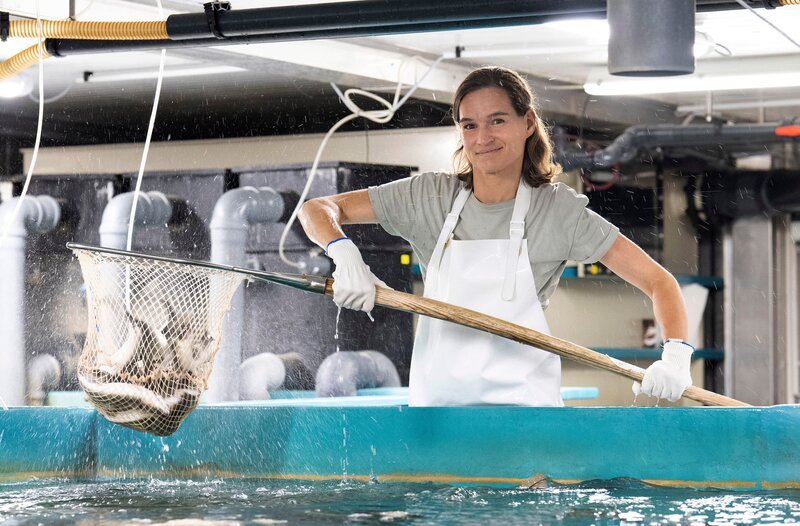 Meeresfische frisch aus dem Münsterland. Konzept der 40-jährigen Louise Niehues: auf dem Hof in Münster-Albersloh züchtet sie Wolfsbarsche in umgebauten Überseecontainern. – Bild: WDR/​Melanie Grande