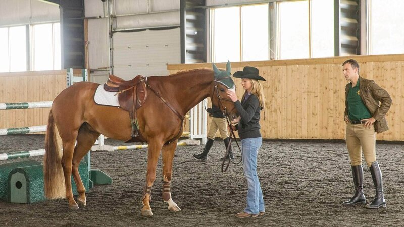 Amy (Amber Marshall), Adrian (Shaun Benson) – Bild: MG RTL D