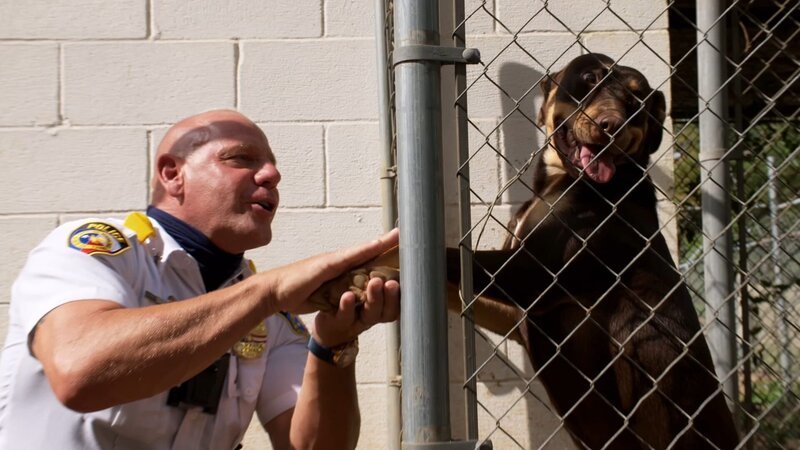 Manfred Gilow – Bild: Warner Bros. Discovery