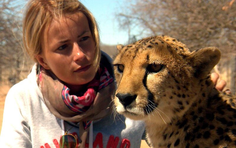 ARD/​SWR DAS WAISENHAUS FÜR WILDE TIERE FOLGE 37, „Abenteuer Afrika“, WR Dokuserie mit 40 Folgen, deren Schauplatz die Tierrettungsstation „Harnas“ am Rand der afrikanischen Kalahari-Wüste ist, Marisa hat Zuneigung – aber auch Respekt – für die Geparden. – Bild: SWR