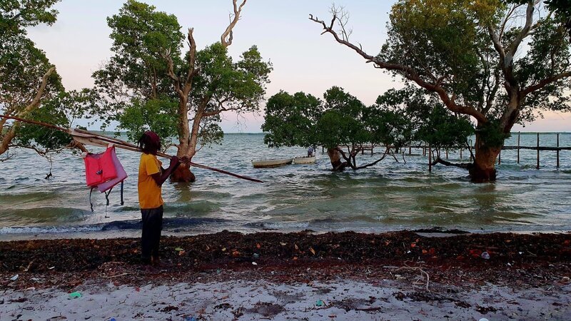 Mangroven schützen die Küste. – Bild: ZDF und RB, Julian Krätzig
