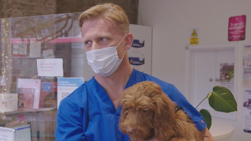 Bild: 2023 WTFN Entertainment Pty Ltd. Lizenzbild frei