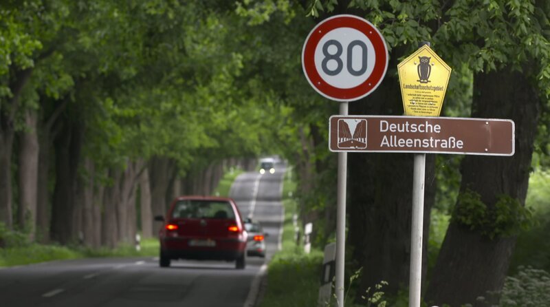 Deutsche Alleenstraße – Bild: rbb/​MDR
