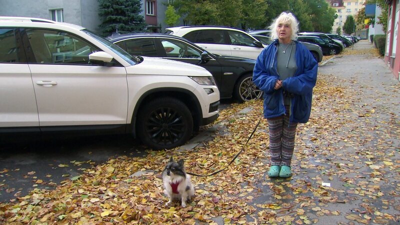 Frau Erna, 76, mit Hund Bauxi beim Gassigehen in Wien Favoriten. – Bild: ORF