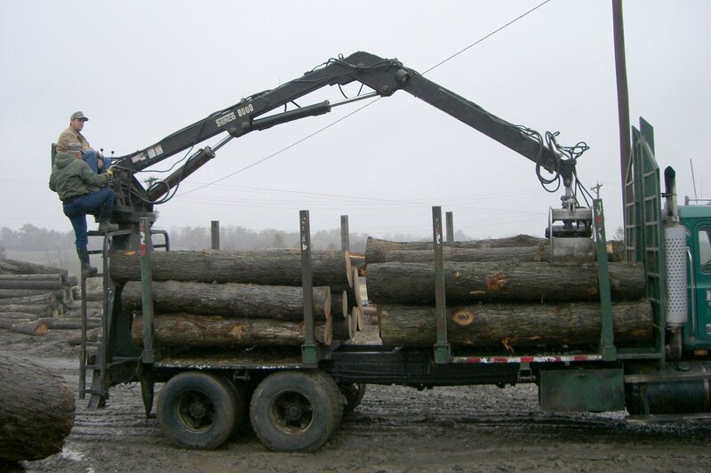 Die Ausgrabungen am Fundort haben begonnen. Kommissar Keller (Robert Atzorn, r.) befragt Paul (Matthias Buss, l.) wegen des Schädels. Warum wollte Paul den Fund zunächst vertuschen? – Bild: S1