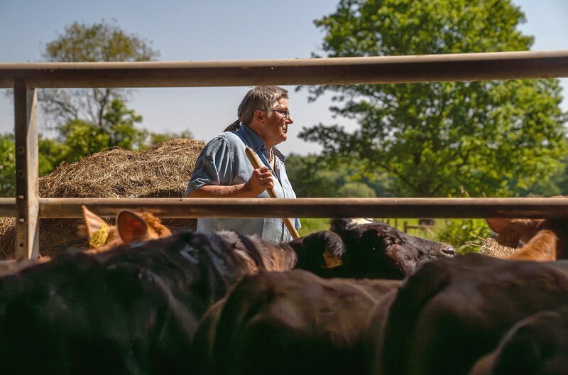 Sabine Nußbaum und ihr Neffe Clemens müssen raus Zäune flicken. Eine mühselige Angelegenheit, zumal die Zäune in einem schlechten Zustand sind. – Bild: NDR/​SWR/​Frank Hisam