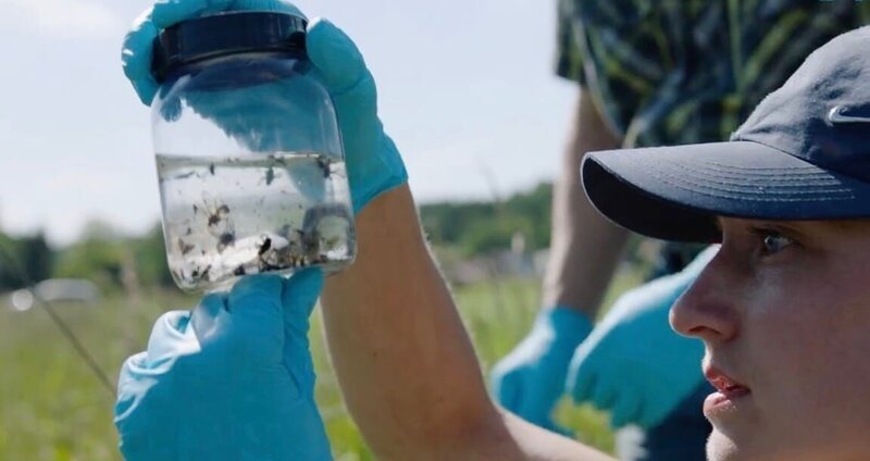 Gewässerrandstreifen: Entnahme einer Wasserprobe. – Bild: BR/​Christoph Castor
