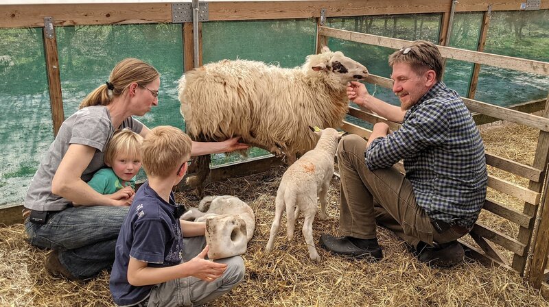 Petra, Jonathan, Joschua und Jörg Langen. Die Familie züchtet, wie hier im Bild, Bentheimer Landschafe und die robusten britischen Swaledales. (Weitere Bilder auf Anfrage) – Bild: NDR/​mmtv