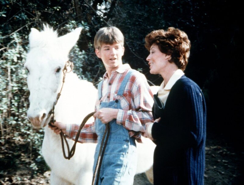 Große Bewunderung empfindet Jim Bob Walton (David W. Harper, l.) für die Rotkreuz-Mitarbeiterin Sarah Griffith (Lynn Carlin, r.), die nach Waltons Mountain gekommen ist, um ihre große Liebe wiederzufinden. – Bild: Sat.1 Gold