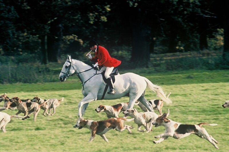 In diesem Jahr geschehen bei der Fuchsjagd gleich zwei Morde. – Bild: ZDF und All3Media