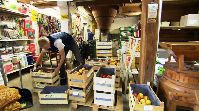 Auszubildender Marvin Möller beim Einsortieren der frischen Ware: Regelmäßig holen Möllers frische, saisonale Lebensmittel von den Bauern der Region zum Verkauf. – Bild: NDR/​MfG-Film GmbH und Co. KG/​Lars Tolis