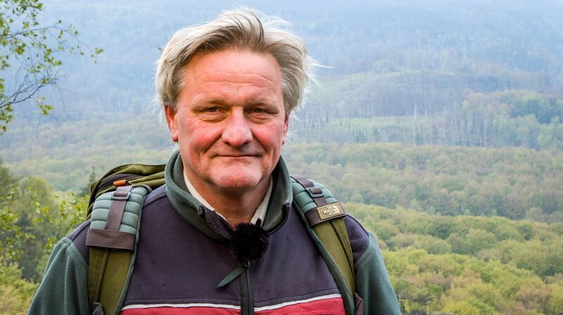 Blick von der Kipphornaussicht (am Winterberg) auf Waldbrandgebiet – Bild: MDR/​Studio Klarheit Filmproduktion