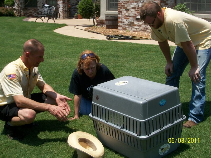 As seen in Skunk Whisperer. – Bild: Animal Planet, DCI