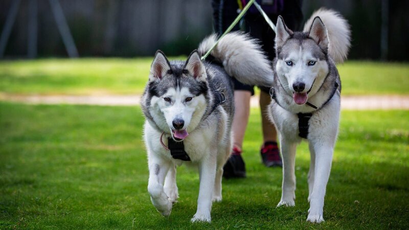 . – Bild: Warner Bros. Discovery