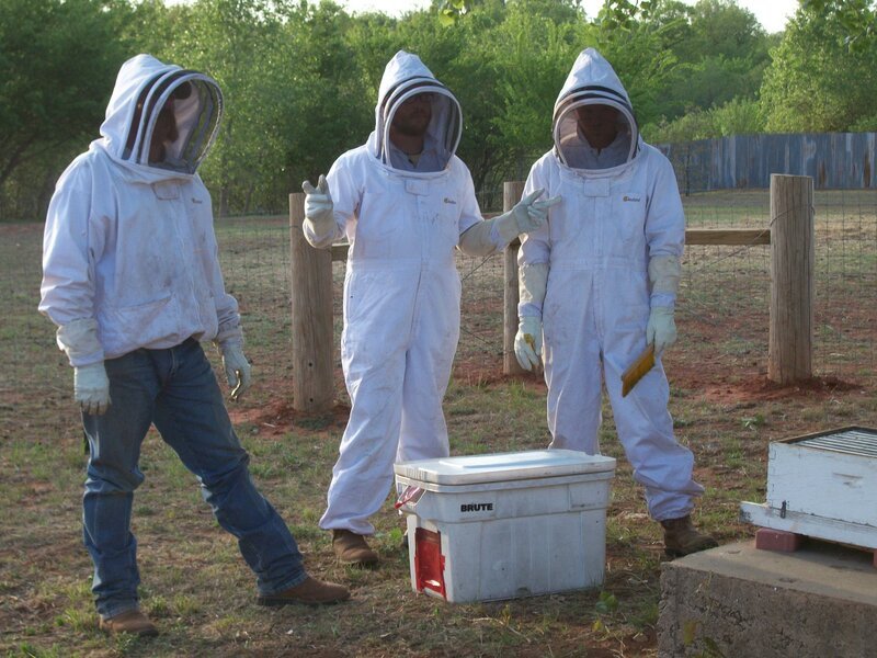 As seen in Skunk Whisperer. – Bild: Animal Planet